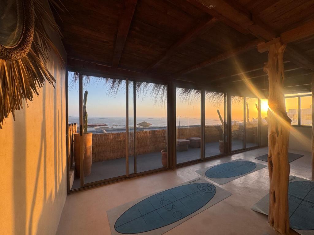Coastal trees and Atlantic view near Sidi Kaouki