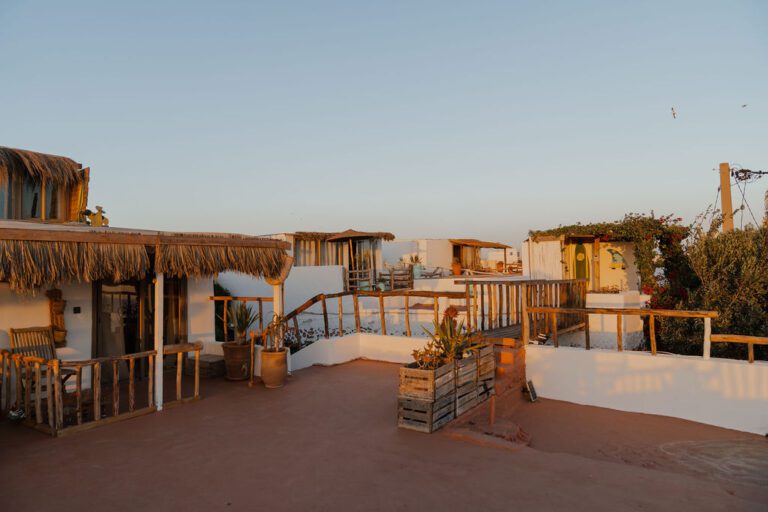 Palm tree and open-sky atmosphere near the Morocco coast