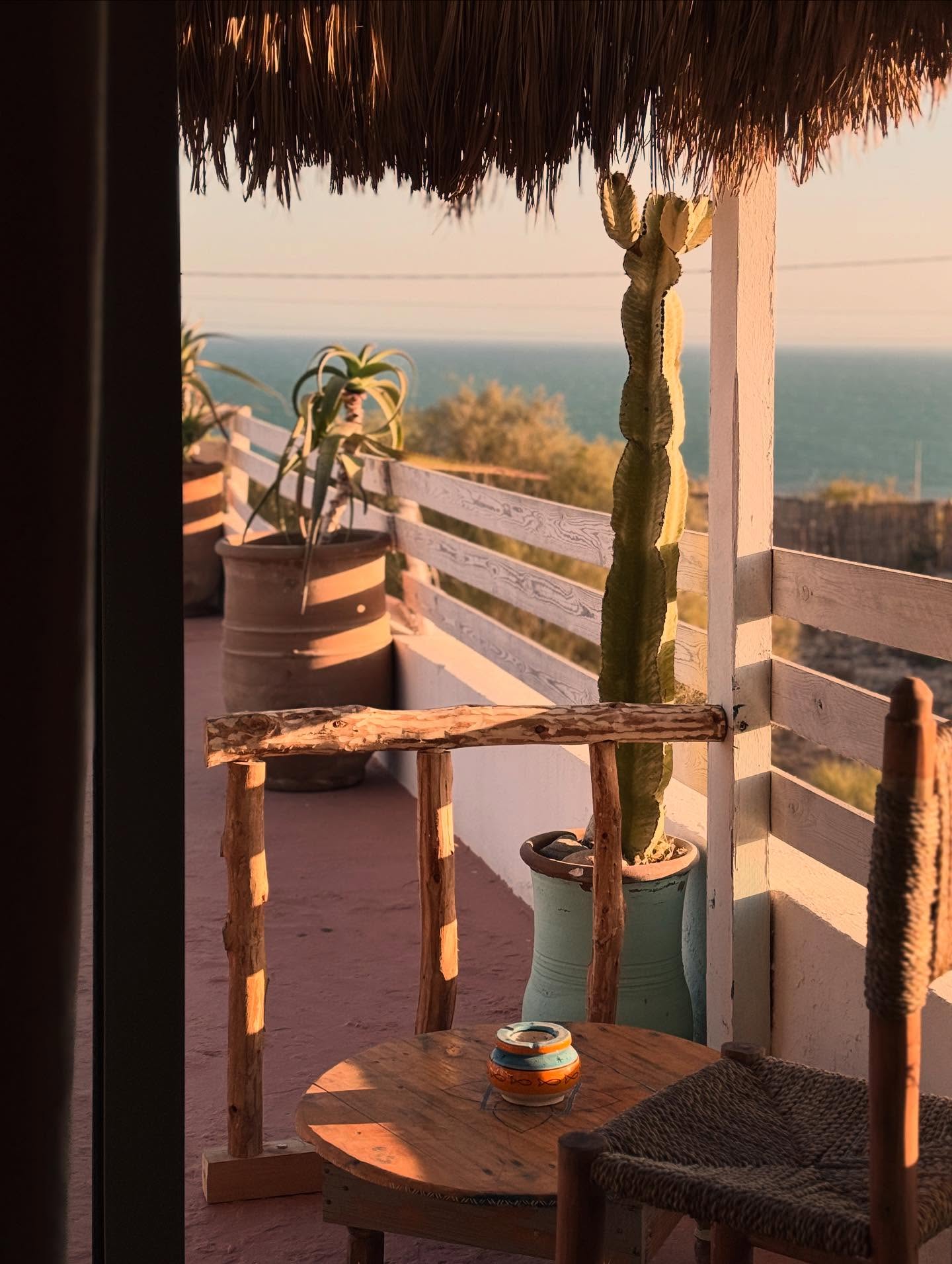 Coastal trees framing the Atlantic near Sidi Kaouki